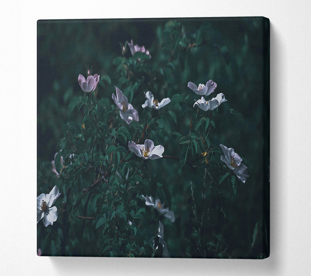  A Canvas Print of Green And White Blooms Canvas Art