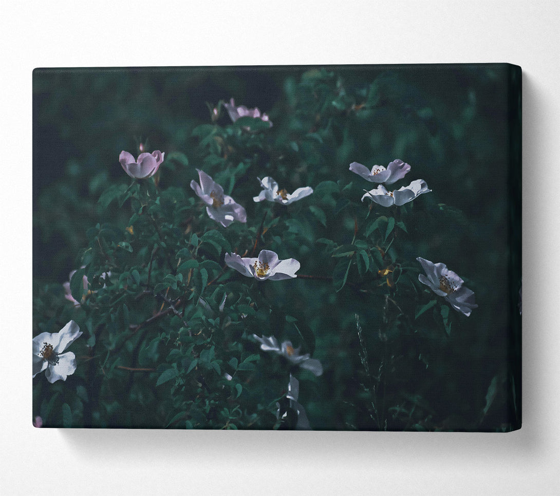  A Canvas Print of Green And White Blooms Canvas Art