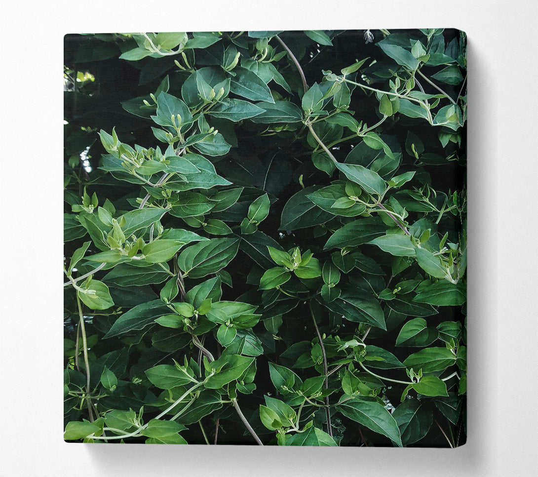  A Canvas Print of Emerald Green Vines Canvas Wall Art