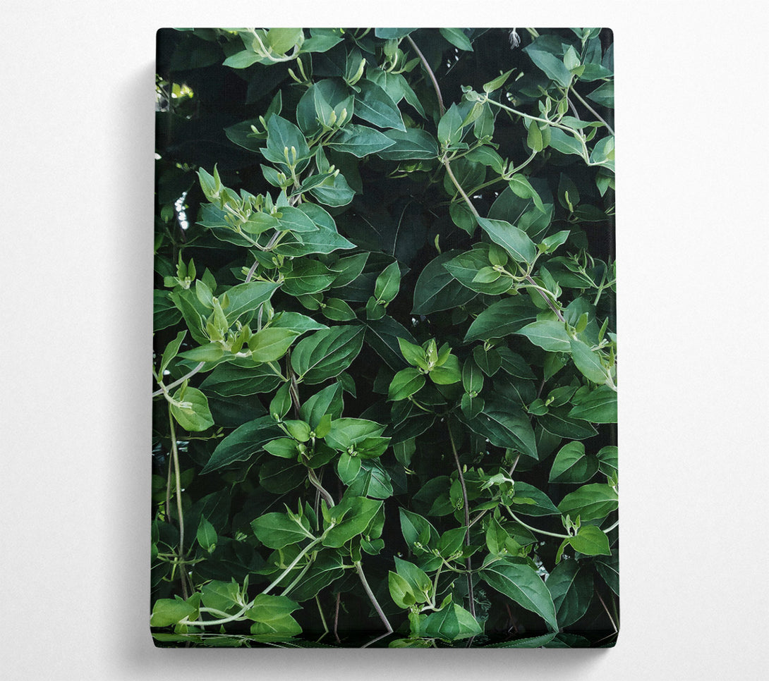  A Canvas Print of Emerald Green Vines Canvas Wall Art