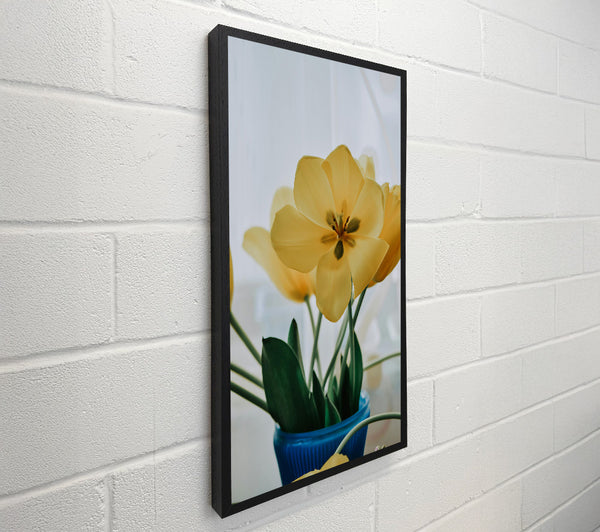 Golden Yellow Tulips