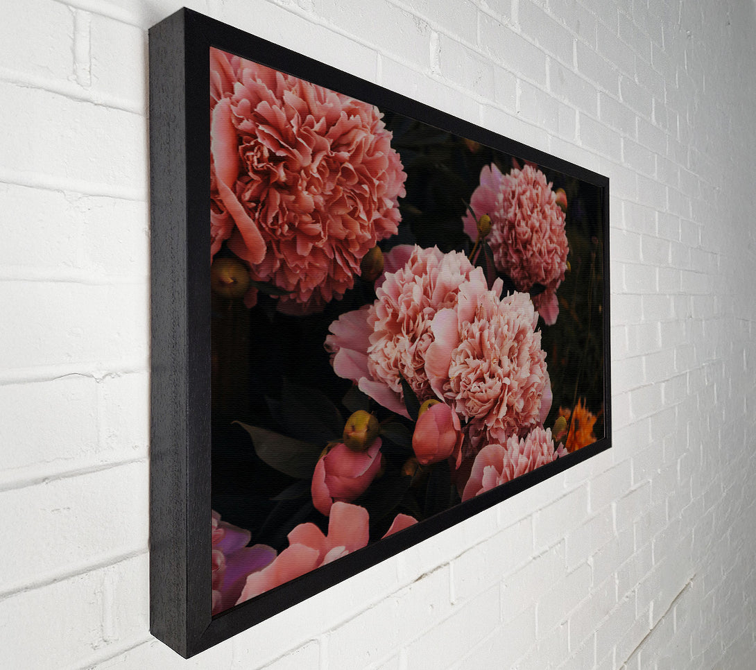  A Canvas Print of Blush Peony Bloom Canvas Wall Art