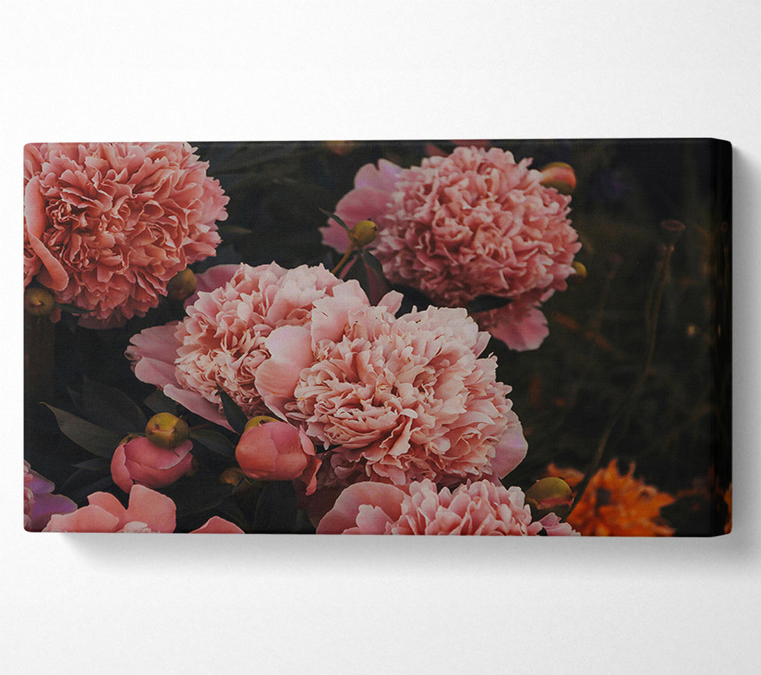  A Canvas Print of Blush Peony Bloom Canvas Wall Art