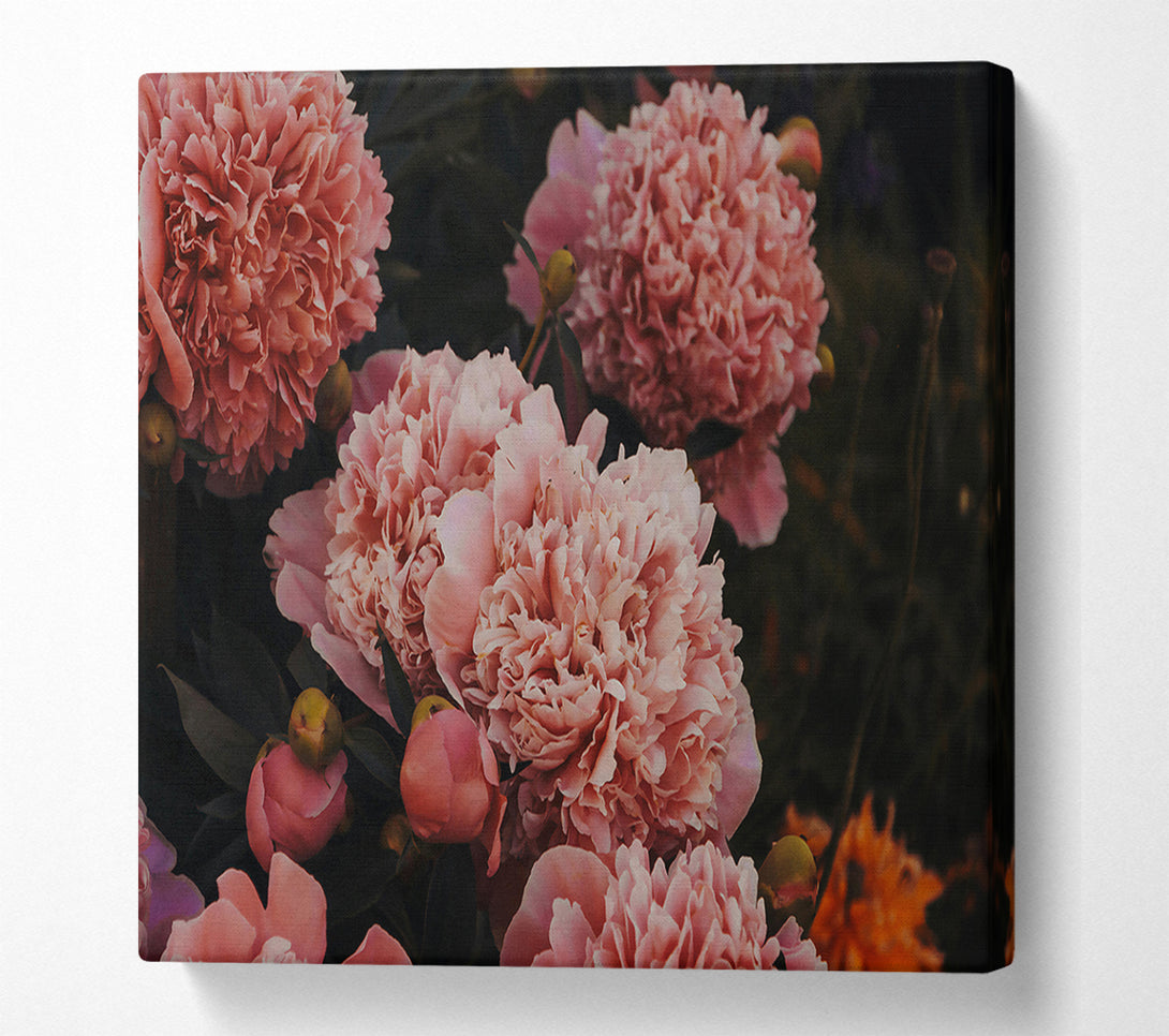  A Canvas Print of Blush Peony Bloom Canvas Wall Art