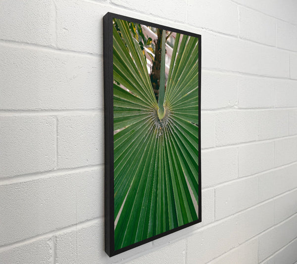 Emerald Palm Fronds