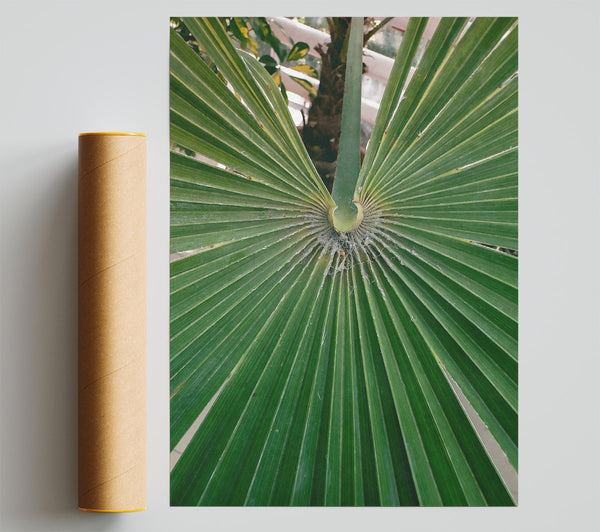 Emerald Palm Fronds Print