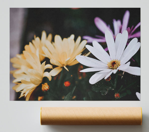 White Bloom In Yellow Light Print