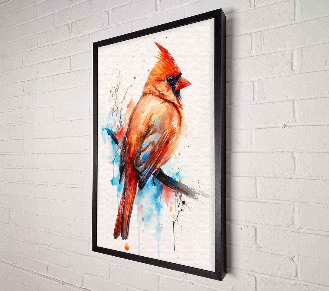  A Canvas Print of Crimson Cardinal Splash Canvas Print