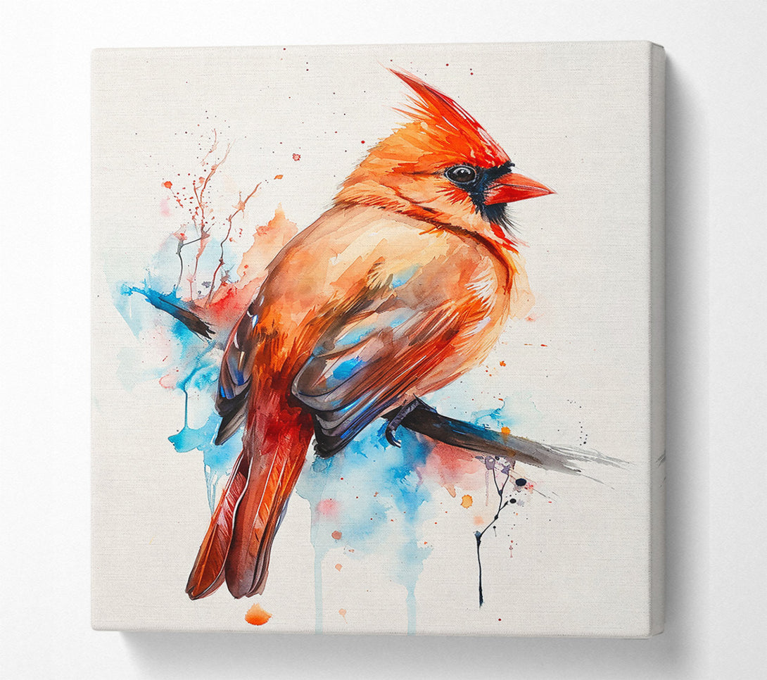  A Canvas Print of Crimson Cardinal Splash Canvas Print
