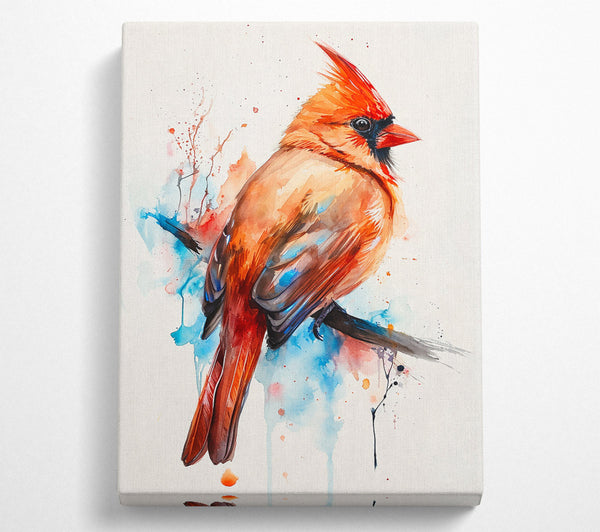  A Canvas Print of Crimson Cardinal Splash Canvas Print