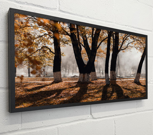 Golden Foggy Trees
