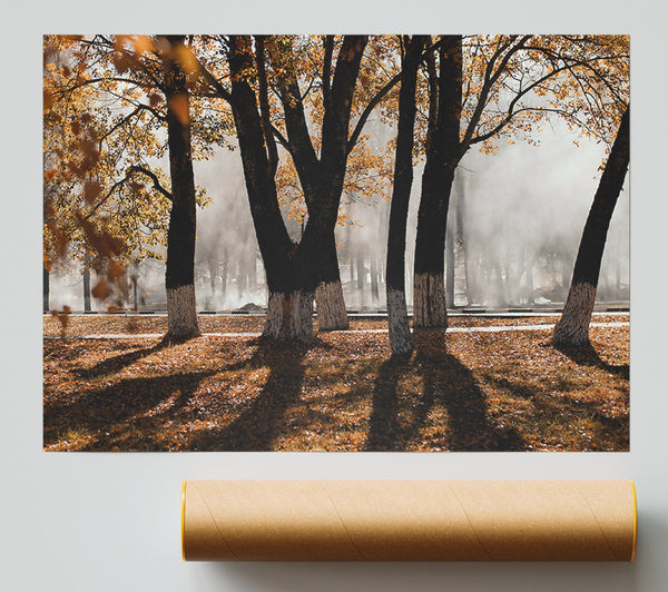 Golden Foggy Trees Print