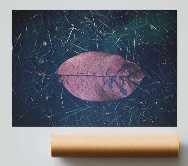 Crimson Leaf'S Fall Poster
