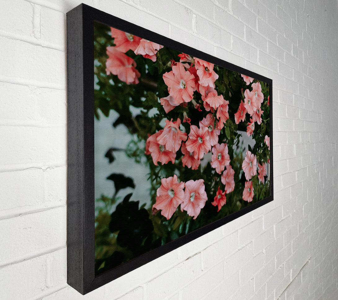  A Canvas Print of Coral Petals Bloom Canvas Art