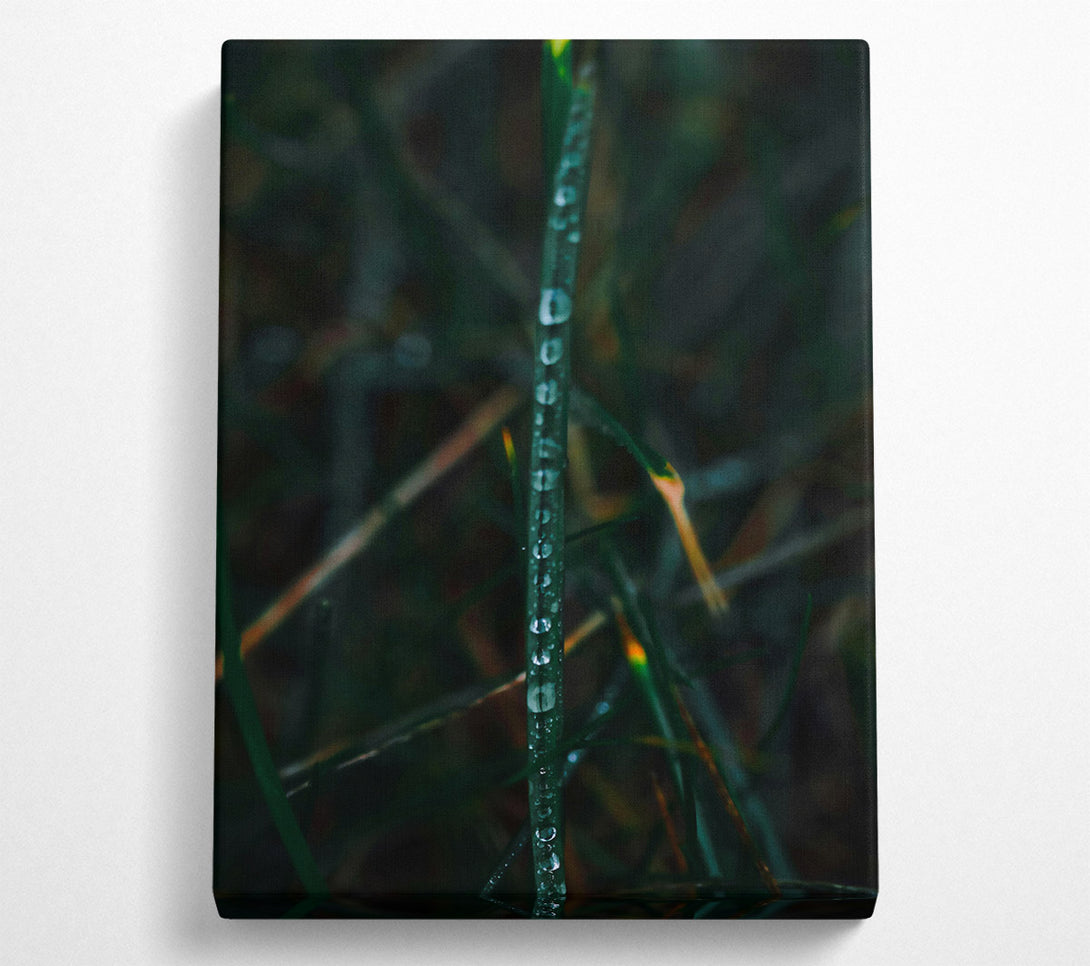 A Canvas Print of Emerald Dew Drops Canvas Wall Art