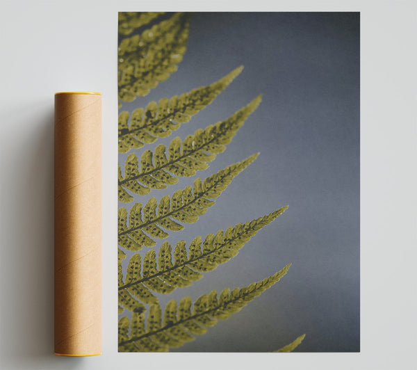 Golden Fern Fronds Giclee Print