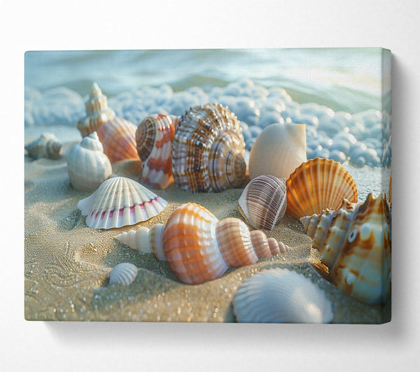  A Canvas Print of Seashells On Golden Sand Canvas Art