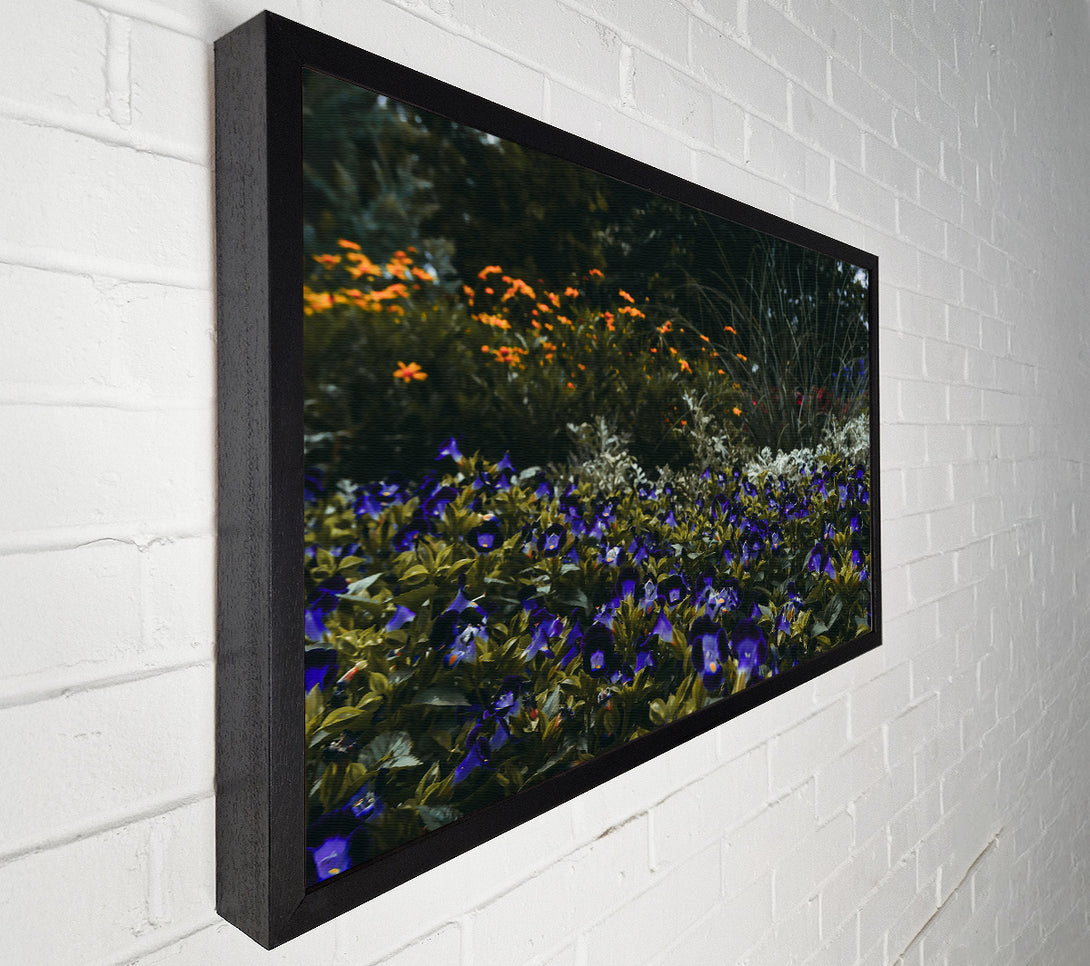  A Canvas Print of Indigo Flower Field Canvas Print