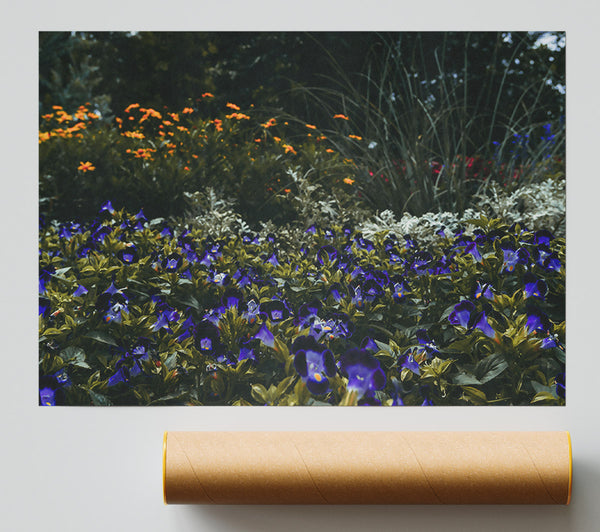 Indigo Flower Field Poster