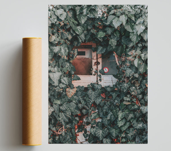 Green Ivy Enclosure Poster