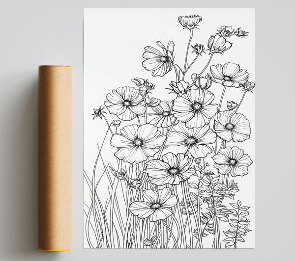 White Cosmos Bloom Poster