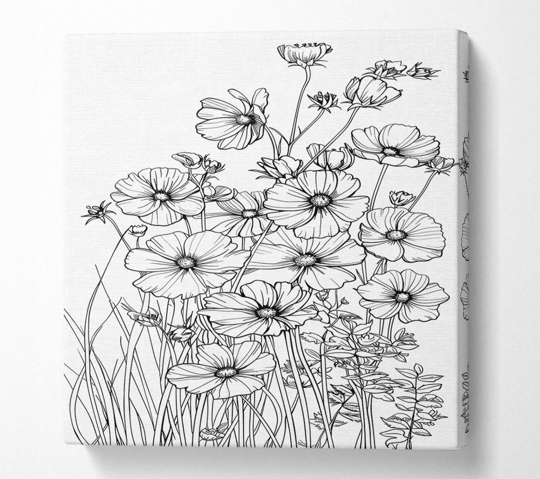 A Canvas Print of White Cosmos Bloom Canvas Art