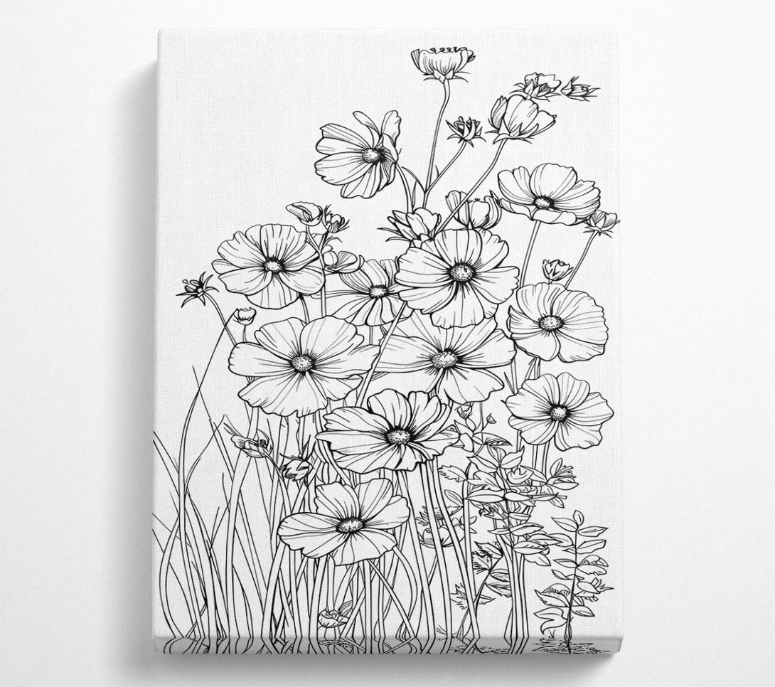  A Canvas Print of White Cosmos Bloom Canvas Art