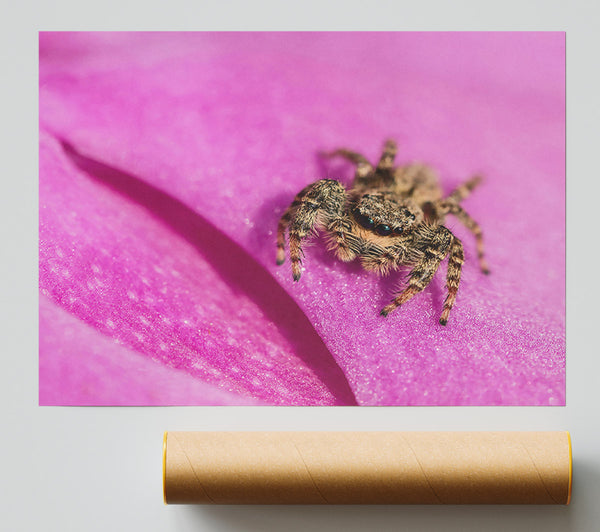 Pink Petal Hunter Poster