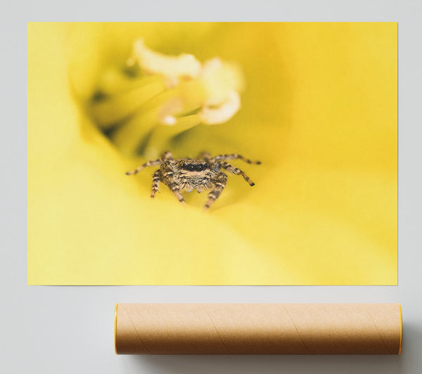 Yellow Flower Hunter Giclee Print