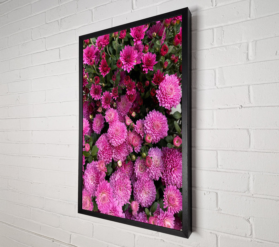  A Canvas Print of Magenta Blooms Embrace Canvas Wall Art