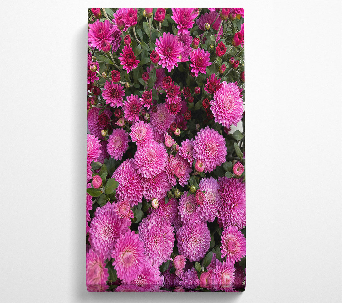  A Canvas Print of Magenta Blooms Embrace Canvas Wall Art