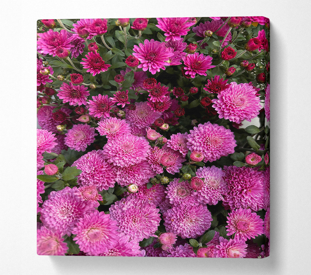  A Canvas Print of Magenta Blooms Embrace Canvas Wall Art