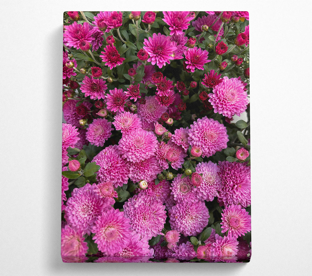  A Canvas Print of Magenta Blooms Embrace Canvas Wall Art