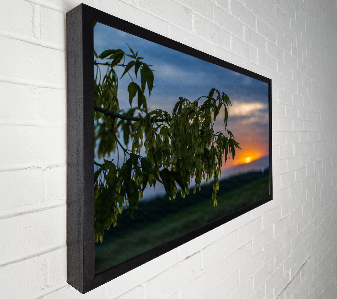  A Canvas Print of Golden Hour Silhouette Canvas Wall Art