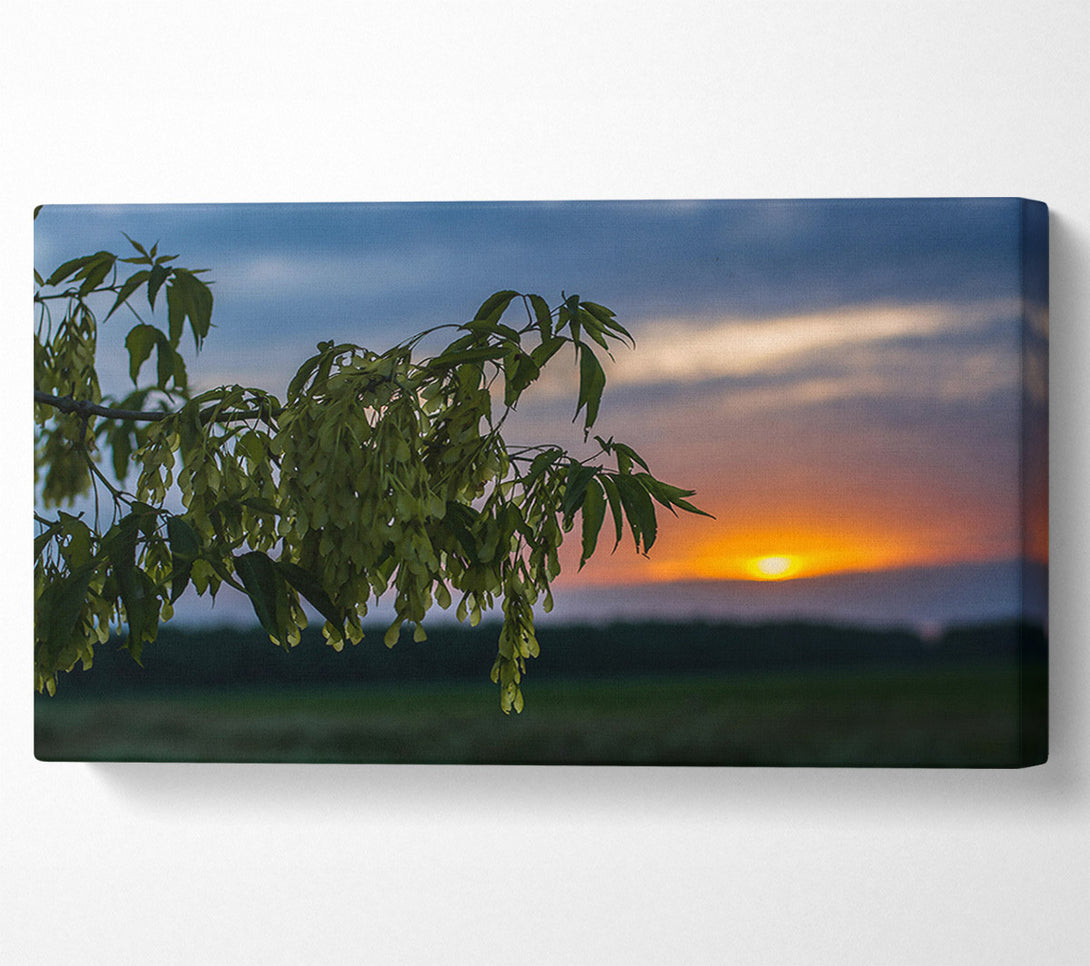  A Canvas Print of Golden Hour Silhouette Canvas Wall Art