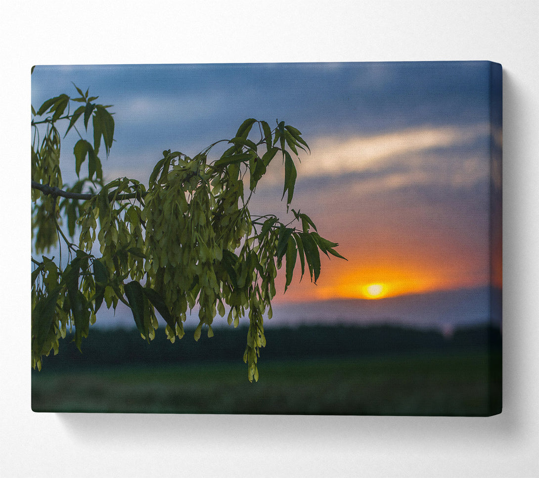  A Canvas Print of Golden Hour Silhouette Canvas Wall Art
