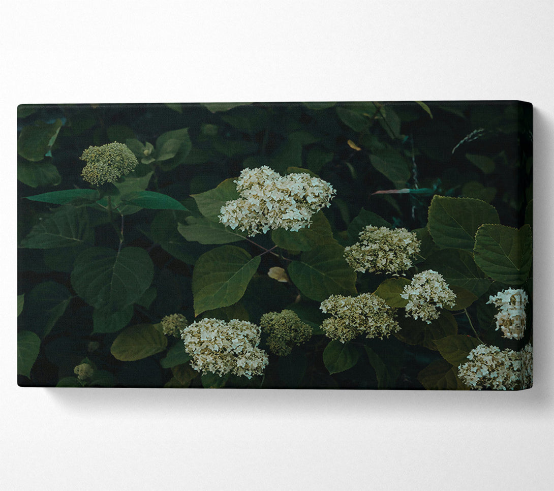  A Canvas Print of Emerald Green Blooms Canvas Art
