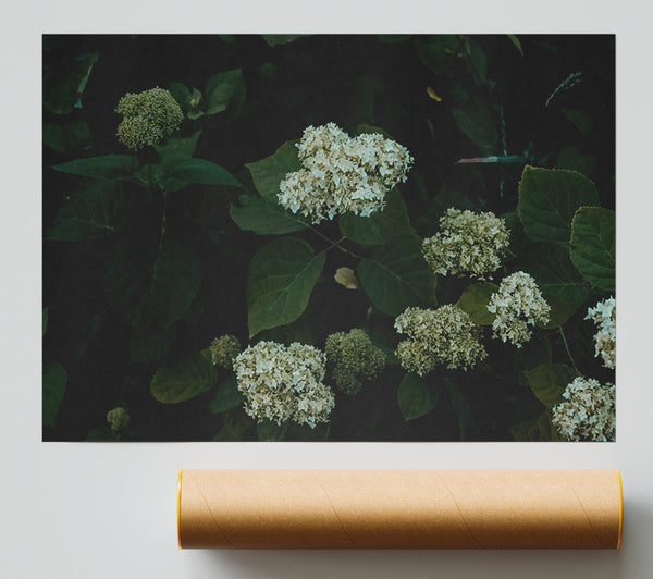 Emerald Green Blooms Giclee Print