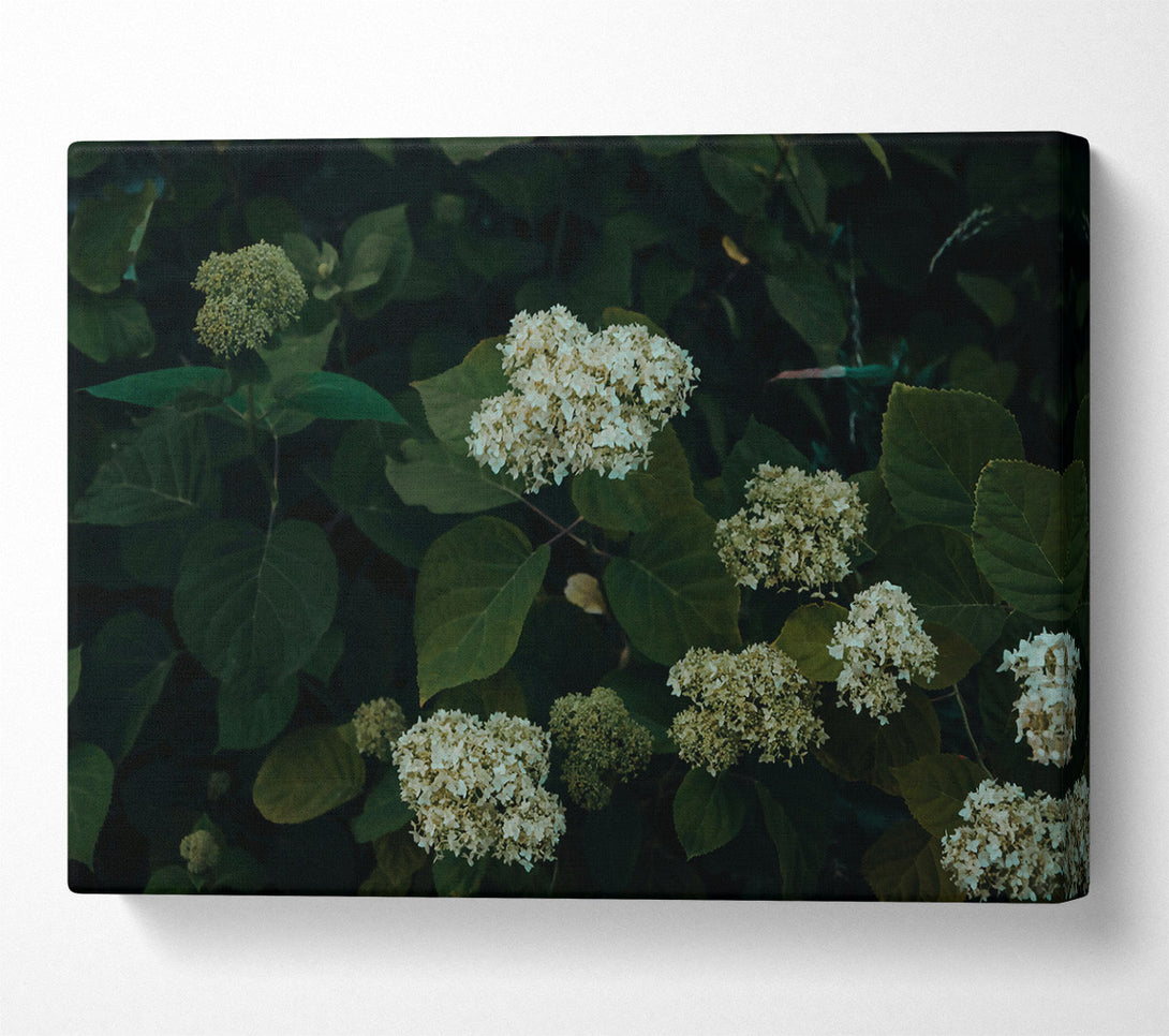  A Canvas Print of Emerald Green Blooms Canvas Art