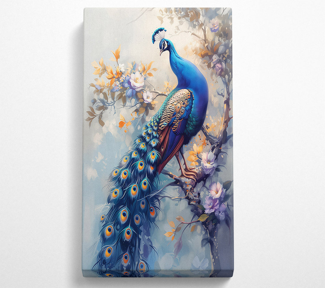  A Canvas Print of Azure Peacock In Bloom Canvas Print