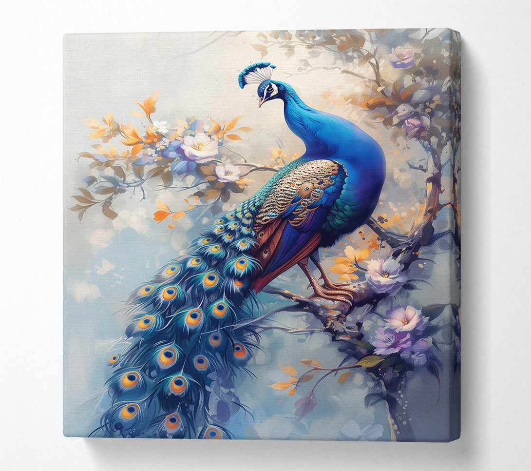  A Canvas Print of Azure Peacock In Bloom Canvas Print