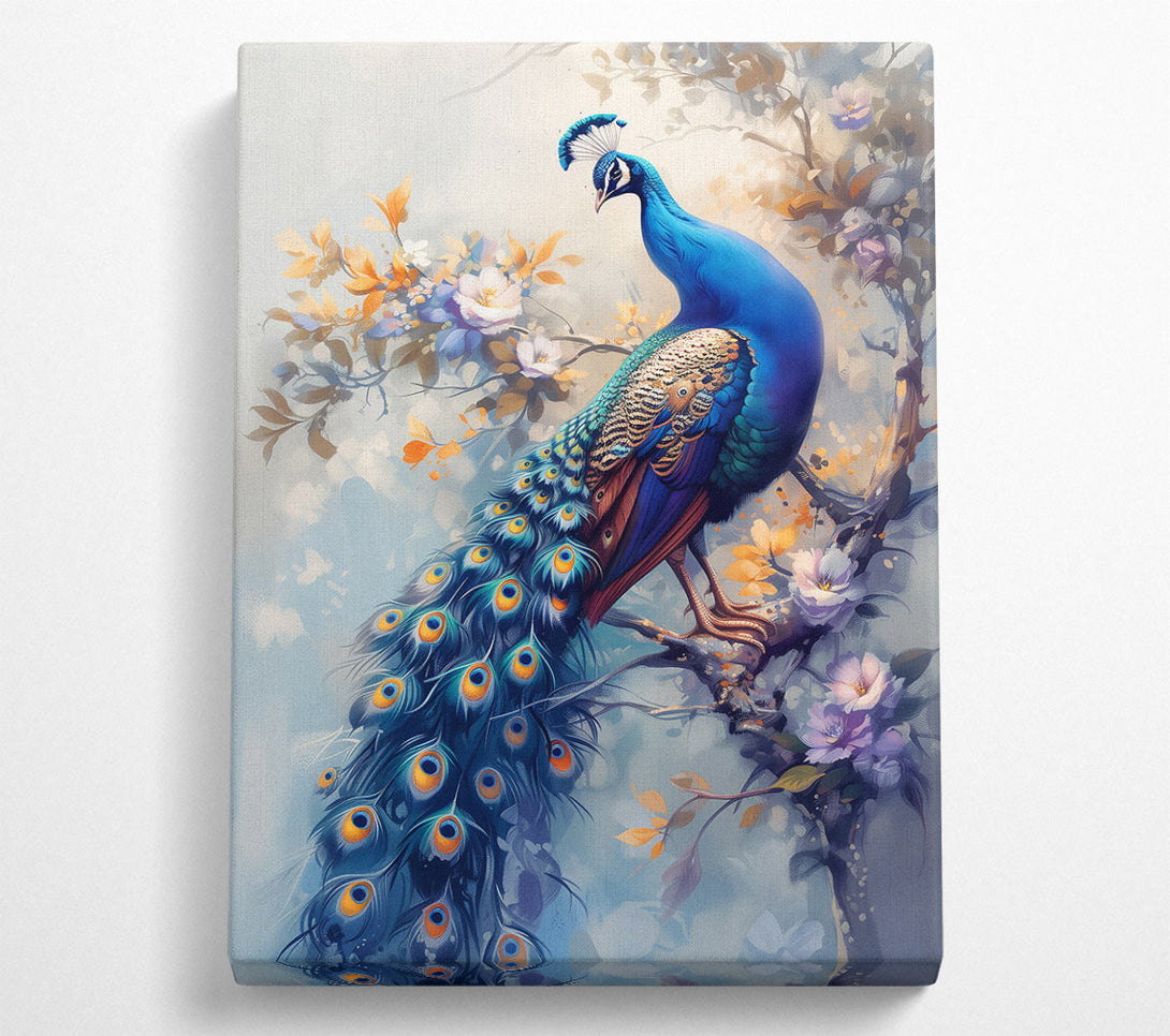  A Canvas Print of Azure Peacock In Bloom Canvas Print