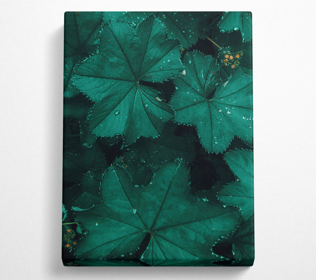  A Canvas Print of Emerald Dew Drops Canvas Wall Art