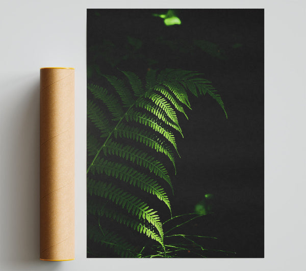 Emerald Forest Fern Giclee Print