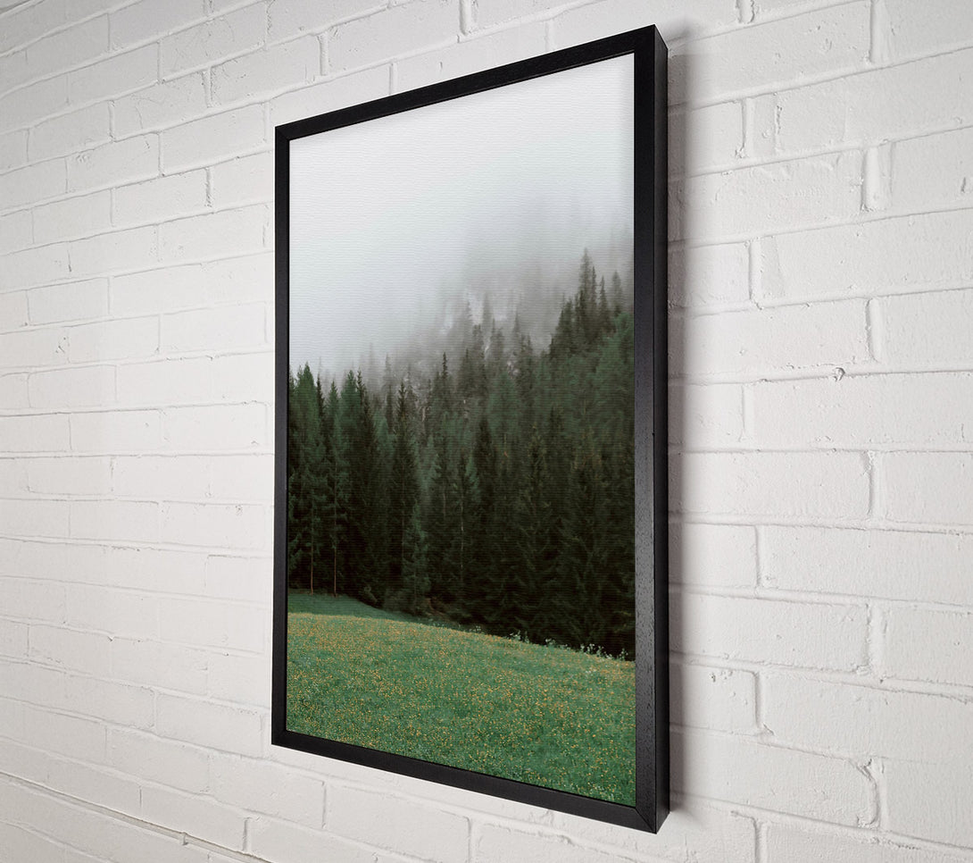  A Canvas Print of Green Mist Forest Canvas Print