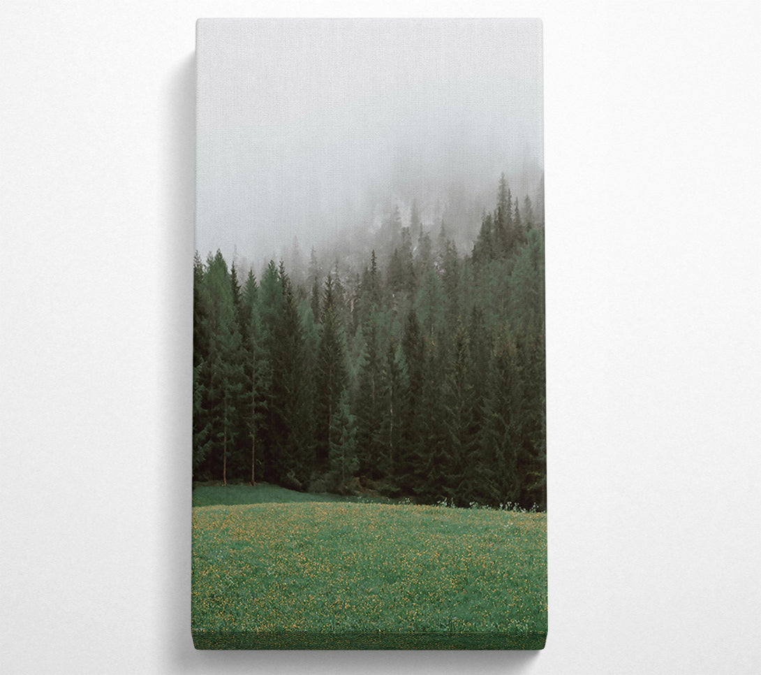  A Canvas Print of Green Mist Forest Canvas Print