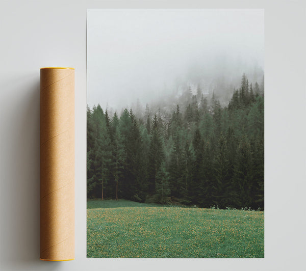 Green Mist Forest Print