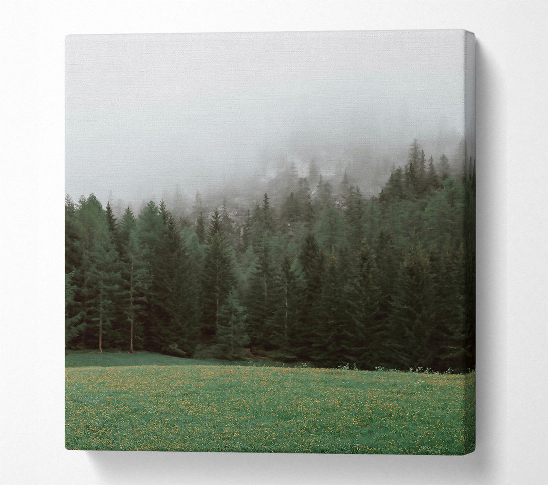  A Canvas Print of Green Mist Forest Canvas Print