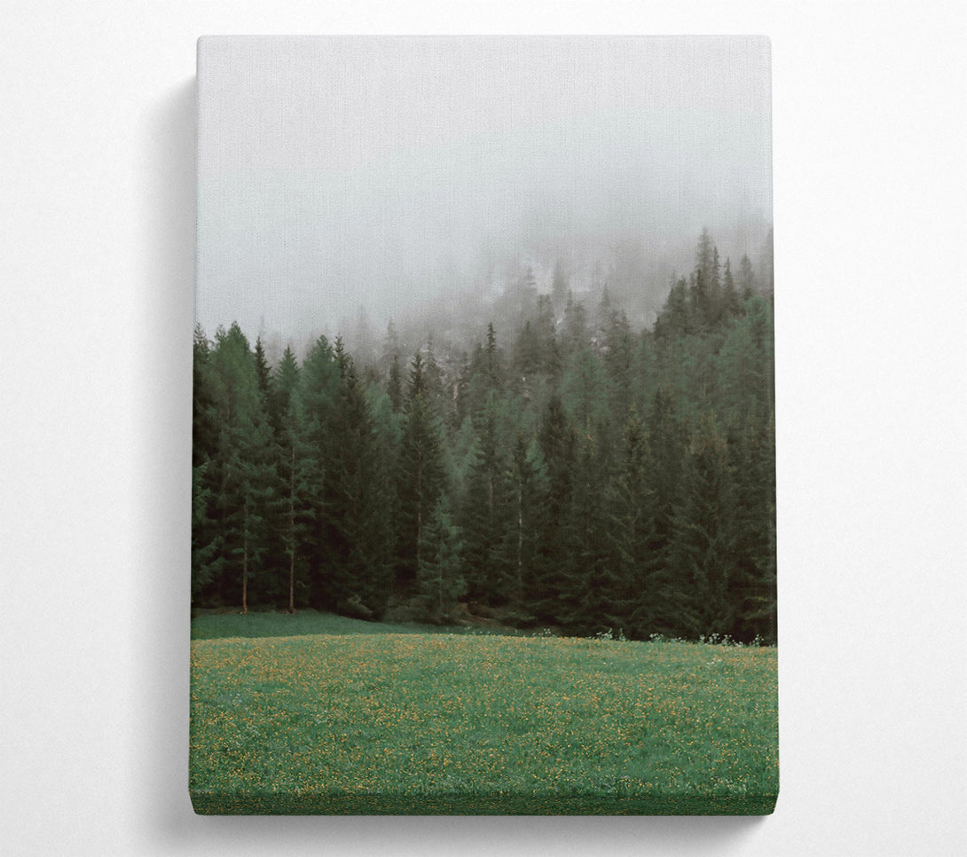  A Canvas Print of Green Mist Forest Canvas Print