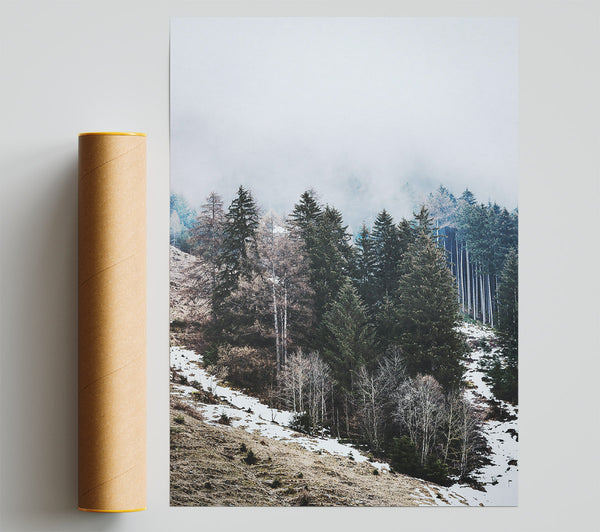 White Foggy Pines Poster